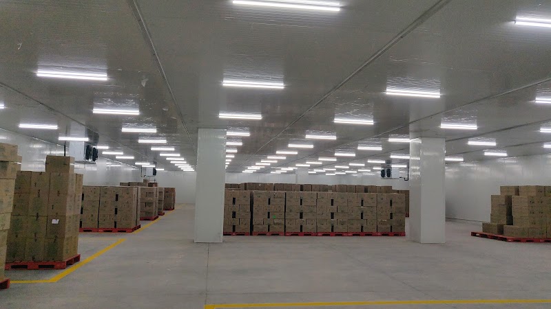 Cooling Solution - Blue Star AC Dealer - AC Service in Badi Omti, Jabalpur