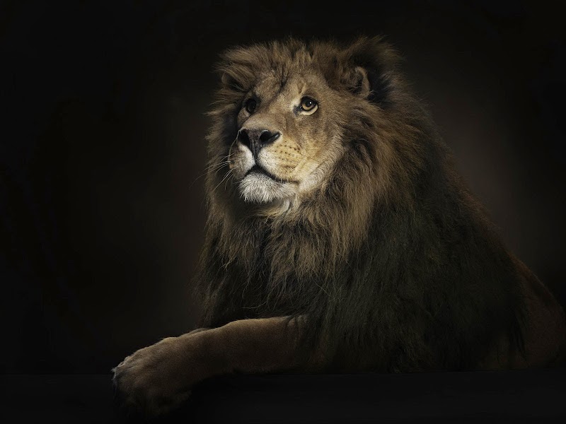 FRONTIER REFRIGERATION & INDUSTRIAL STORES - AC Service in Ibrahimganj, Bhopal